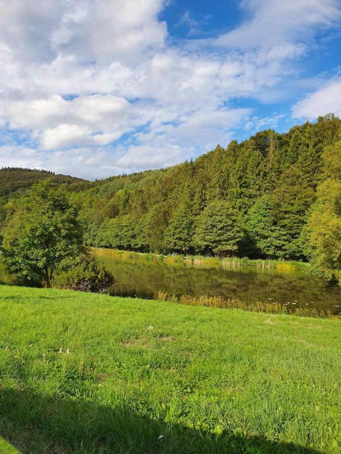 Ferienapartment Resi Willingen  Luaran gambar